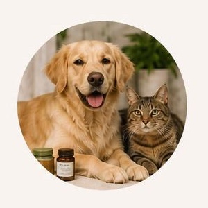 Pet wellness